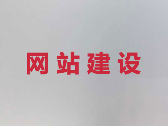 泰州专业网站建设
